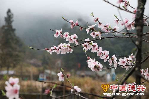 ��éɽ����������������