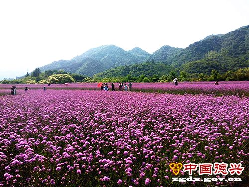 ��Ϊý ����ɽ������һ����ɫ֮Լ