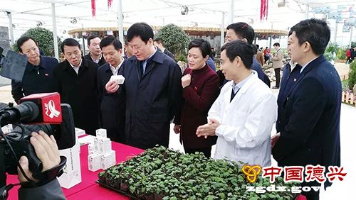 �����������е���ʱǿ�� Ҫ�ƶ��Ӷ������󿪷ź����ӿ췢չ